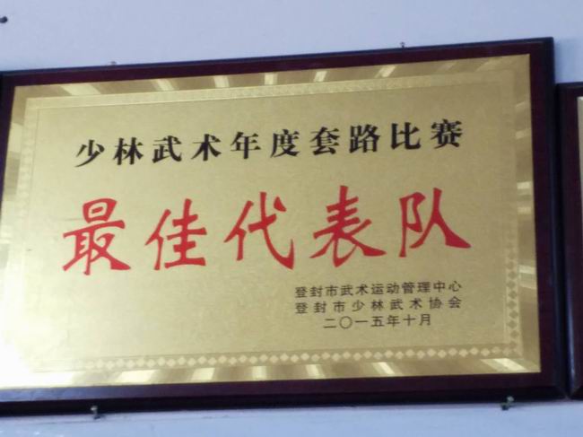 少年武术年度套路比赛最佳代表队